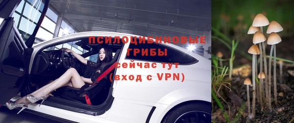 дурь Сосновый Бор