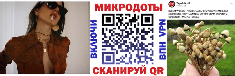 Галлюциногенные грибы MAGIC MUSHROOMS  Билибино 