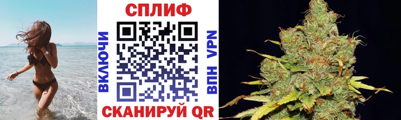 OMG ONION  Билибино  Канабис THC 21% 